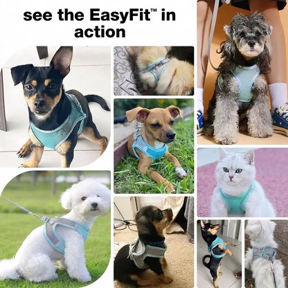 EasyFit™ Escape-Proof Pet Harness & Leash 2.0