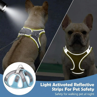EasyFit™ Escape-Proof Pet Harness & Leash 2.0